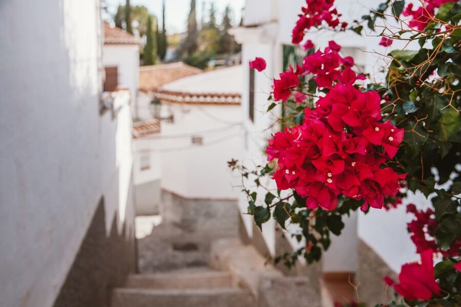 Granada: Albaicín and Sacromonte Walking Tour - Price and value: why $18 can actually be a bargain here