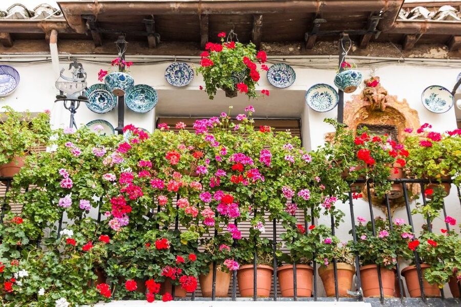 Granada: Albaicín and Sacromonte Walking Tour - Why this Granada walk starts in the right places