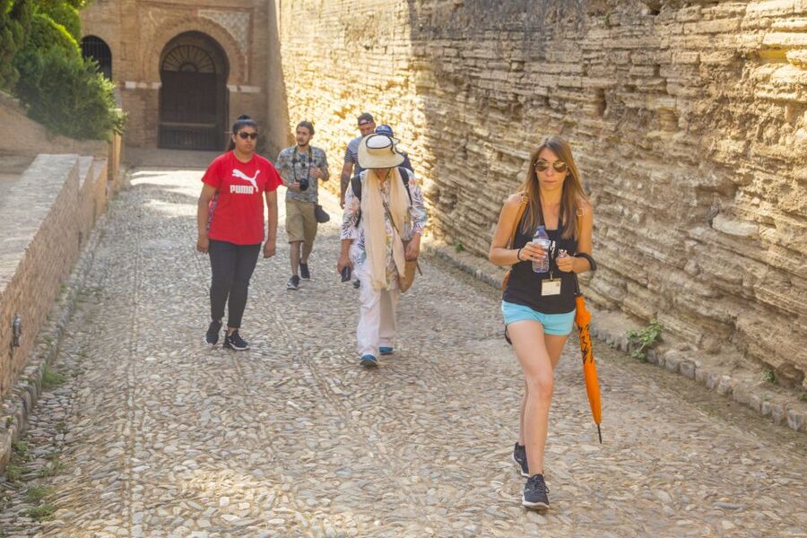 Granada: Alhambra Complex Guided Tour with Ticket - Value for Money in Granada: When $60 Feels Like a Smart Trade