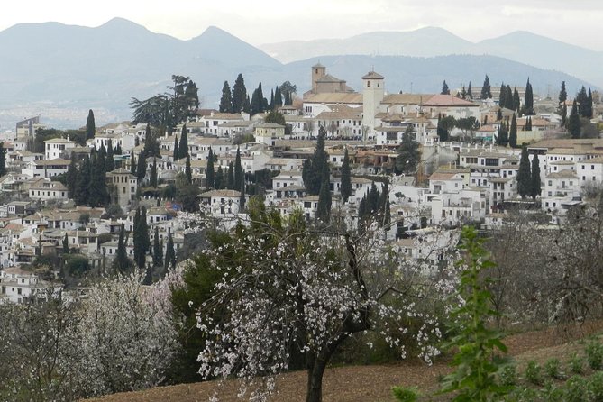 Granada Day Trip: Alhambra & Nazaries Palaces from Seville - Guide style, audio, and language: the real-world differences you should plan for