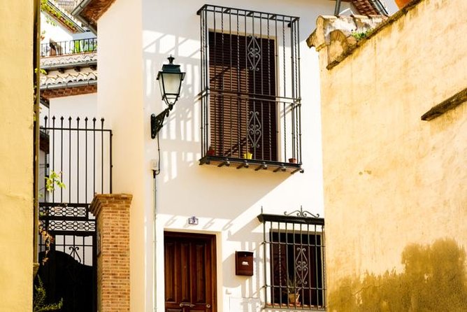 Granada Day Trip with Alhambra and Albaicin Tour from Seville - Nasrid Palaces walkthrough: courts, water, and the famous Lion energy