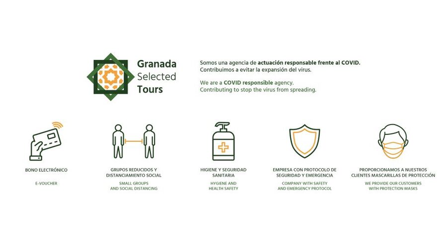 Granada: Fast-Track Alhambra & Nasrid Palaces Guided Tour - Fast-track access: what $82 buys you at the Alhambra