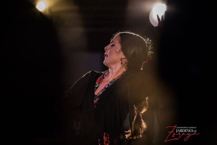 Granada: Flamenco Show in Albayzín - Jardines de Zoraya - How the 1-Hour Flamenco Show Moves (Soleá to Alegría)