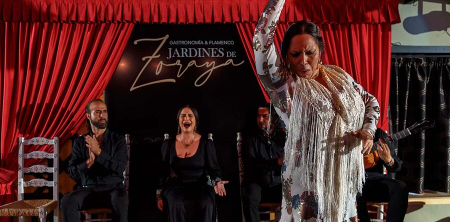 Granada: Flamenco Show in Albayzín - Jardines de Zoraya - Best For Families, Solo Travelers, and First-Timers