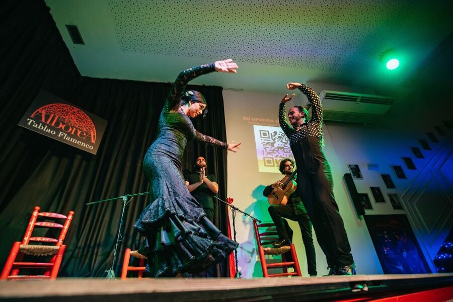 Granada: Flamenco Show in La Alboreá - Wine, Chorizo, and Local Flavors: Worth the Add-On?