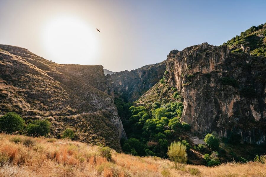 Granada: Los Cahorros de Monachil Canyon Hiking Tour - Why Los Cahorros feels like a quick escape from Granada