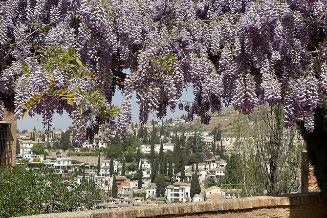 Granada : Private Alhambra Tour + Nazaries Palaces (VIP) - Nasrid Palaces in one hour: calligraphy, details, and why a guide matters