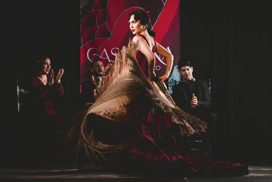 Granada: Traditional Flamenco Show at Tablao Casa Ana - Artists and dance styles you may notice up close