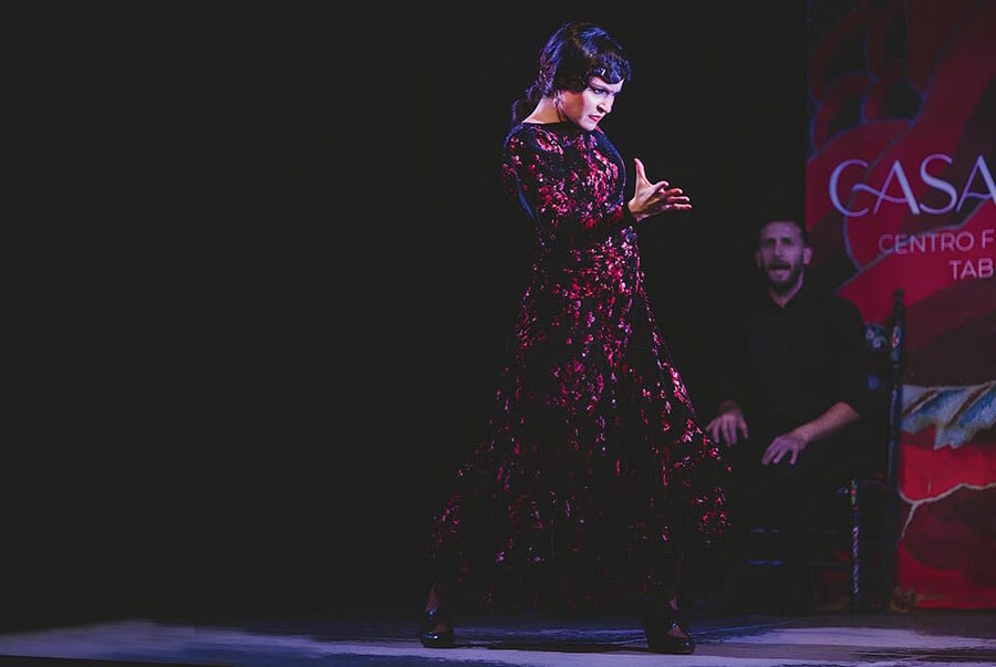 Granada: Traditional Flamenco Show at Tablao Casa Ana - Price and value at about $21 for live flamenco craft