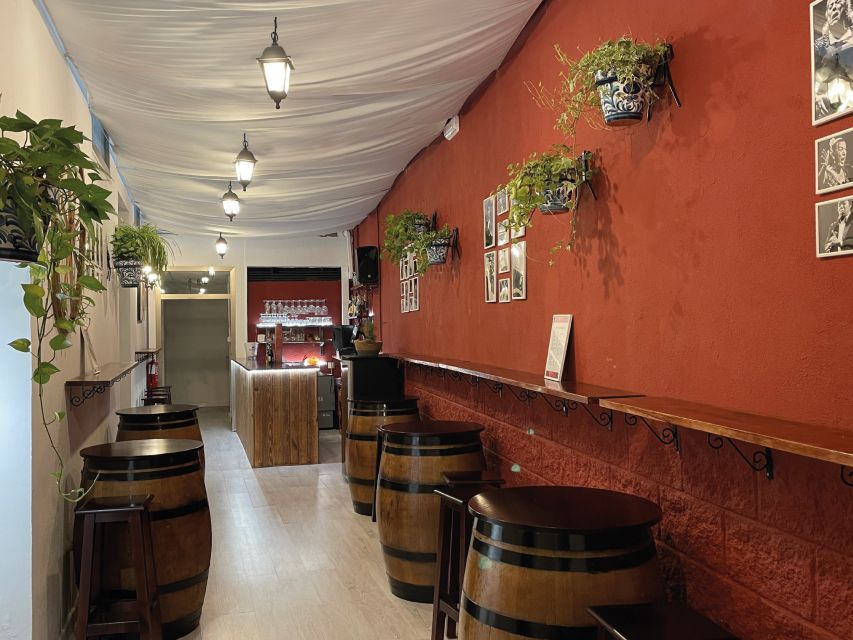 Granada: Traditional Flamenco Show at Tablao Casa Ana - Who should book Tablao Flamenco Casa Ana