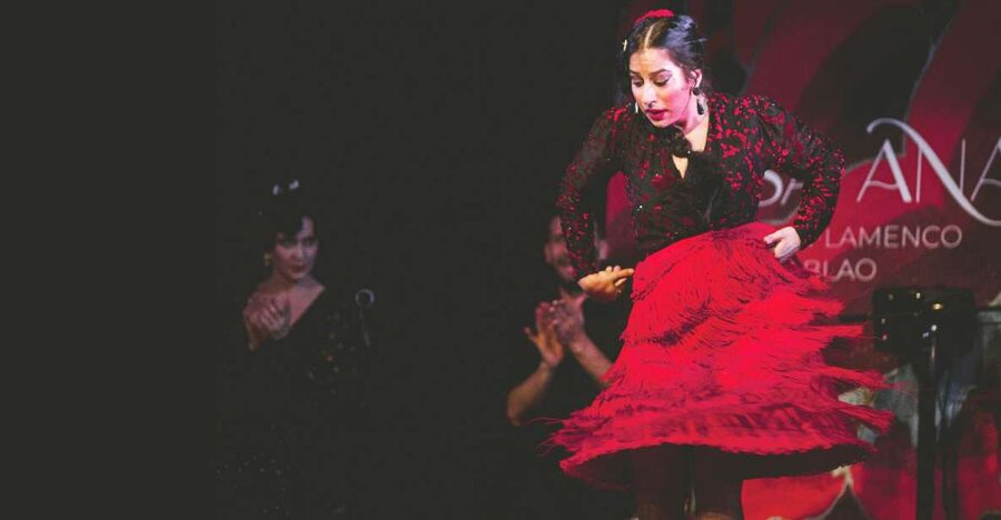 Granada: Traditional Flamenco Show at Tablao Casa Ana - What happens during the one-hour show, curtain to final note