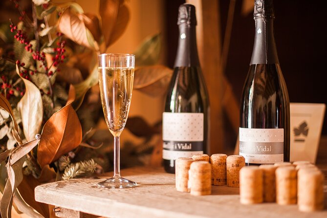 High-End Vineyard Escape: Cava, Tapas & Wine | Private Tour - Price and value: why $598.87 can still make sense