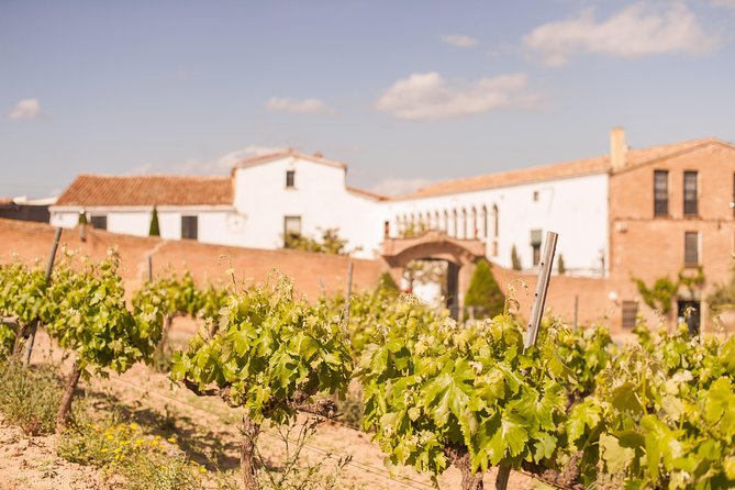 High-End Vineyard Escape: Cava, Tapas & Wine | Private Tour - What to wear and expect: walking, winery temperatures, and timing