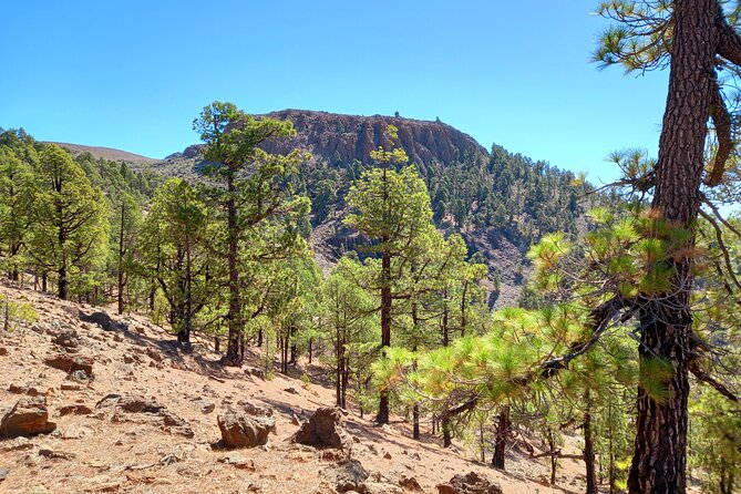 Hiking in Tenerife's Great Outdoors - Andy’s guiding style: calmer, more personal, and sun-aware