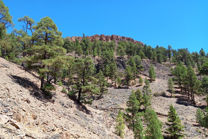Hiking in Tenerife's Great Outdoors - Photos, timing, and how to pack for a 9:00 am start