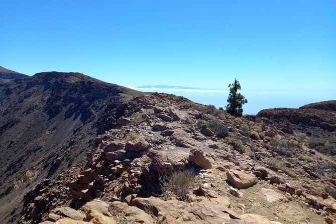 Hiking in Tenerife's Great Outdoors - Price and value: why $72.59 can be a good deal here