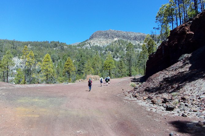 Hiking in Tenerife's Great Outdoors - Who should book this hike, and who should pass