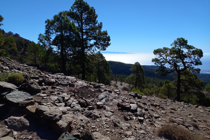 Hiking in Tenerife's Great Outdoors - Pickup and start time, so you can focus on the trail