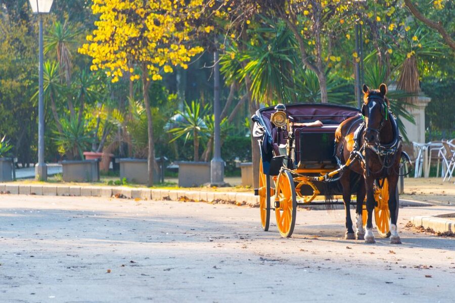 Horse-Drawn Carriage Ride Through Seville - Seville from street level, with the pace turned down