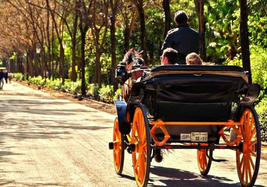 Horse-Drawn Carriage Ride Through Seville - San Telmo Palace, Torre del Oro, and the start of your sight loop