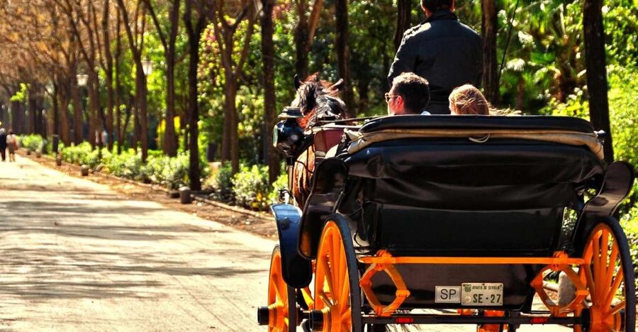 Horse-Drawn Carriage Ride Through Seville - Real Maestranza bullring, plus the monuments you spot from the carriage