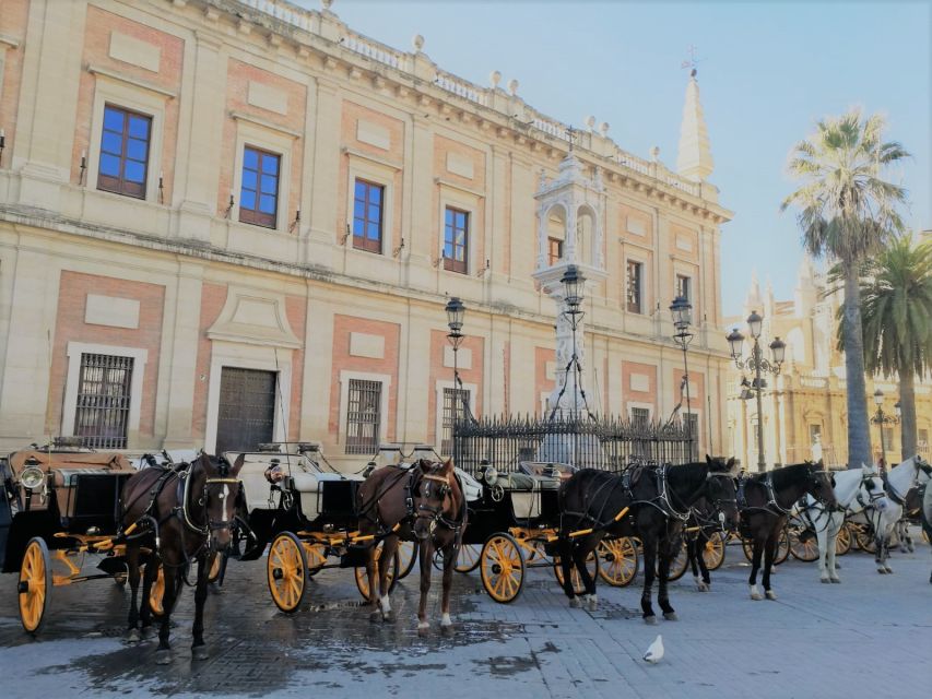 Horse-Drawn Carriage Ride Through Seville - Plaza del Triunfo finale: Cathedral, Alcazar, and Giralda in one view