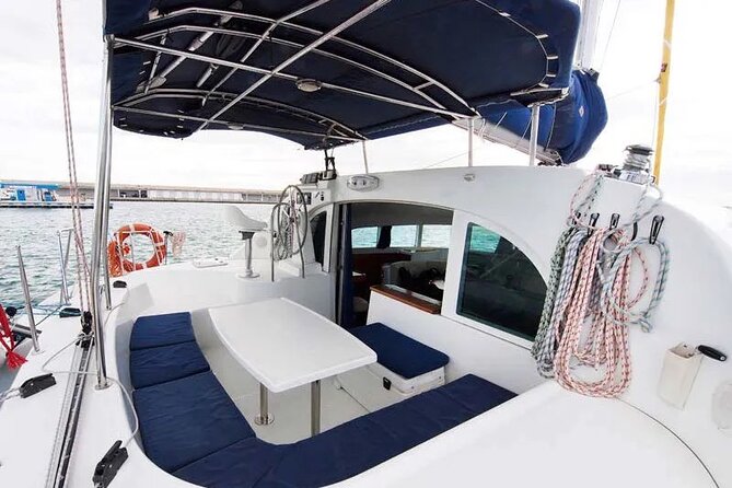 Ibiza & Formentera Private Catamaran Full-Day Sailing Tour - The Border Collie factor: a friendly onboard companion