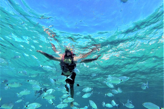 Ibiza Snorkeling Beach and Cave Tour - Quick Hits You Can Plan Around