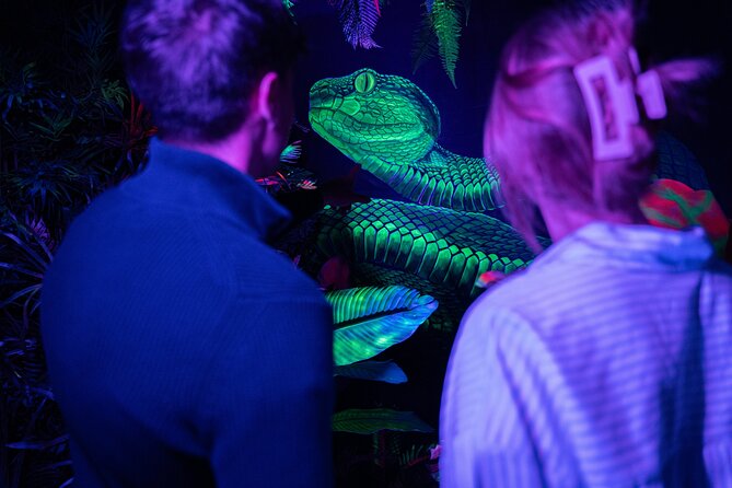 IKONO: a Unique Sensory and Photographic Experience - Photo moments are real, but dim rooms and quick pacing are part of the deal