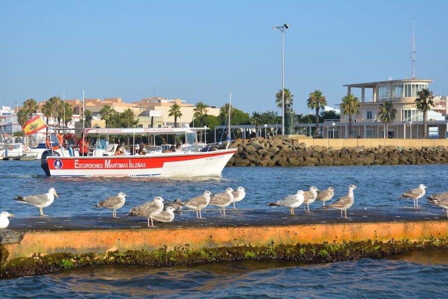Isla Cristina/Isla Canela: Boat Trip Through the Marshes - Who should book this Isla Cristina to Isla Canela boat trip
