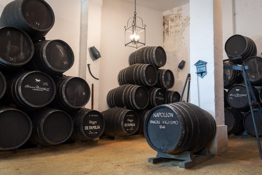 Jerez: Bodegas Álvaro Domecq Guided Tour with Wine Tasting - Key things to know before you go