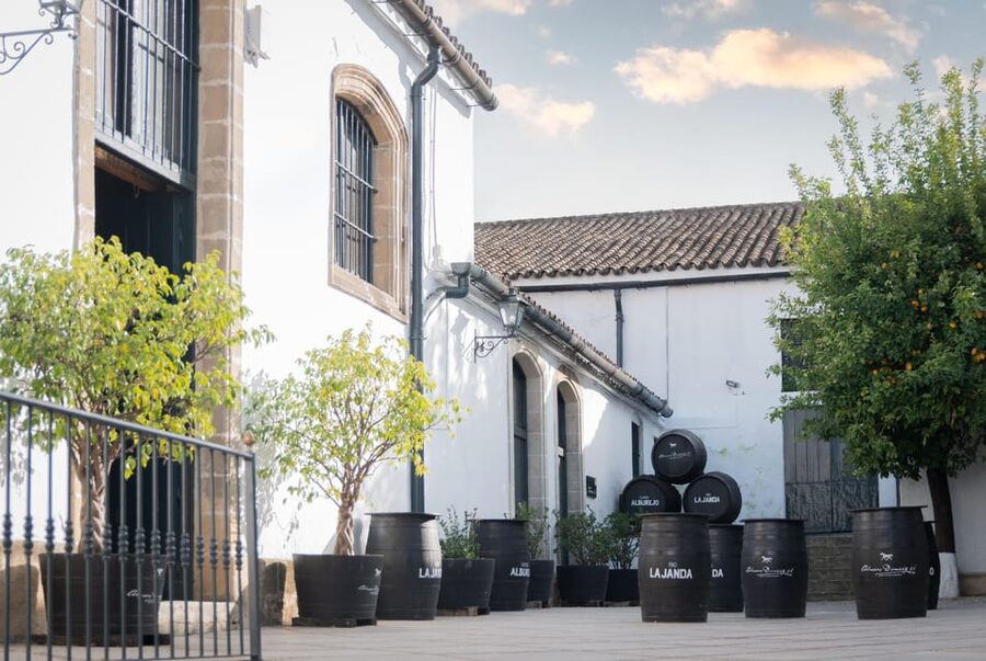 Jerez: Bodegas Álvaro Domecq Guided Tour with Wine Tasting - Inside the 18th-Century Setting, and the Family Story You’ll Actually Remember
