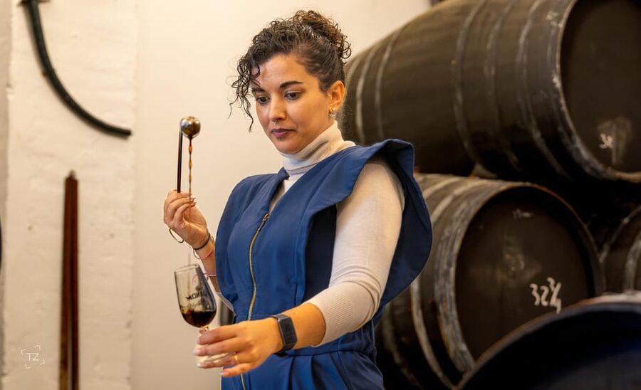 Jerez: Bodegas Álvaro Domecq Guided Tour with Wine Tasting - The Vinegar Cellar: Jerez Gets Odd, and That’s the Point
