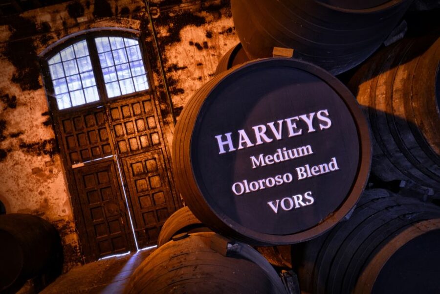 Jerez: Bodegas Fundador Guided Tour with Tasting Session - Should you book the Bodegas Fundador guided tour with tasting?