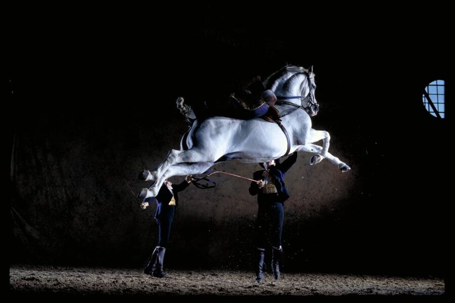 Jerez de la Frontera: Andalusian Horse Dance and Museums - First stop: the Royal Andalusian School’s Visitor Reception Centre