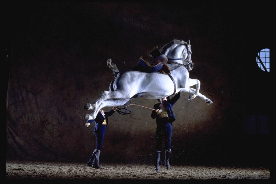 Jerez de la Frontera: How the Andalusian Horses Dance - Pas de Deux and the charm of Haute Ecole on horseback