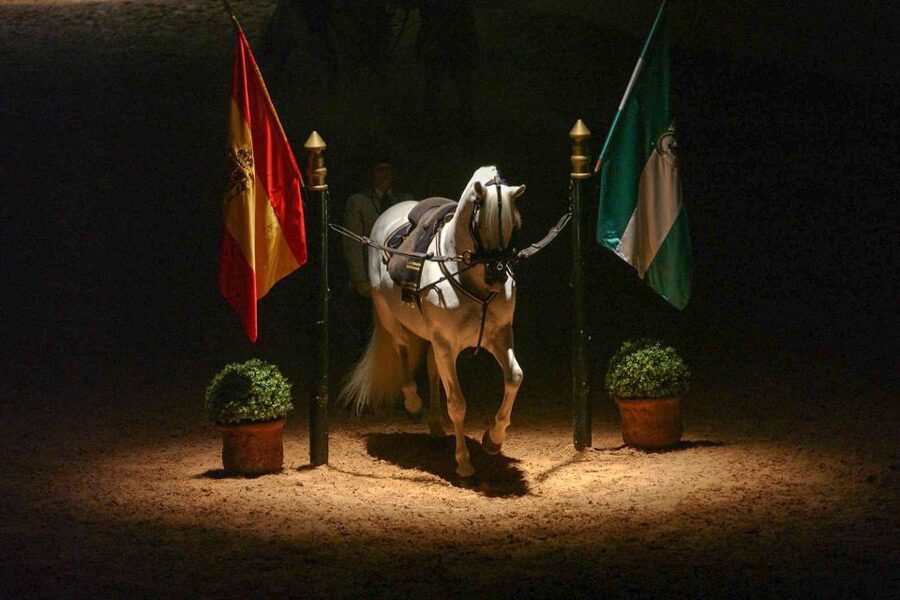 Jerez de la Frontera: How the Andalusian Horses Dance - Carriage driving: a different kind of athleticism