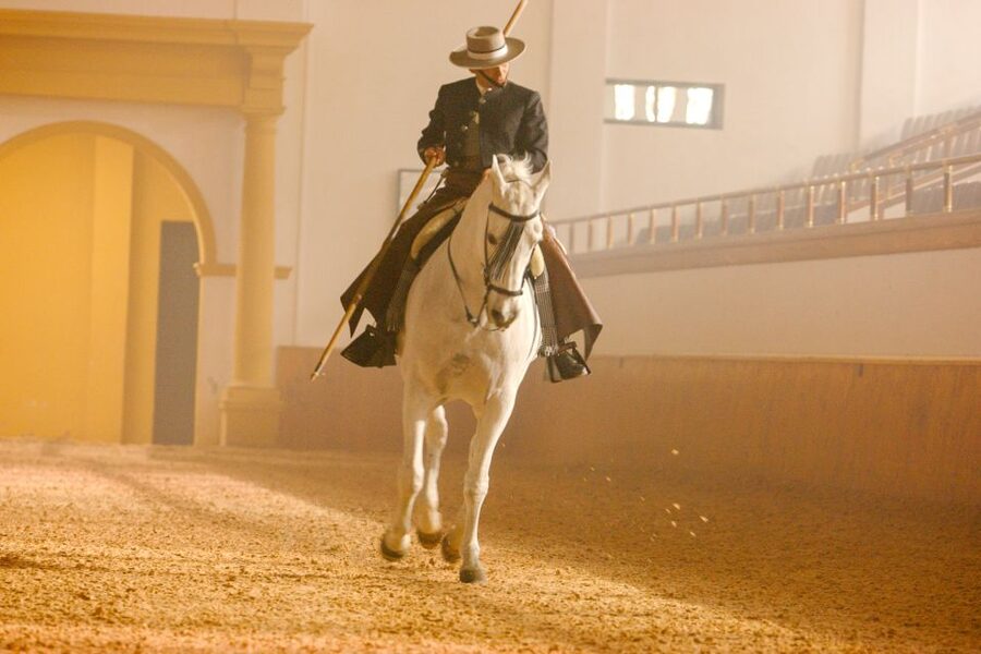Jerez de la Frontera: How the Andalusian Horses Dance - Work in hand: when the rider is off the horse
