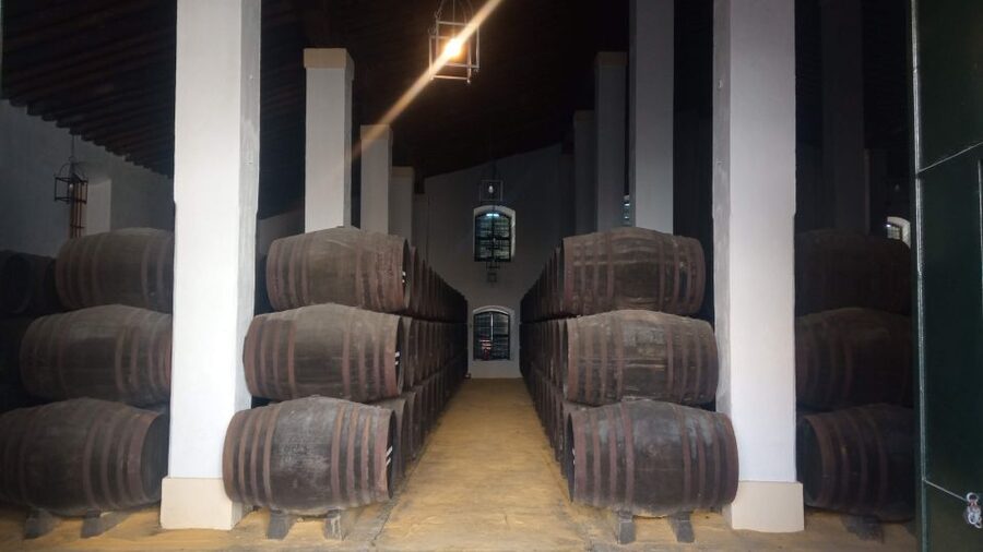 Jerez de la Frontera: Sherry Winery Tour with Tasting - Key highlights to look for