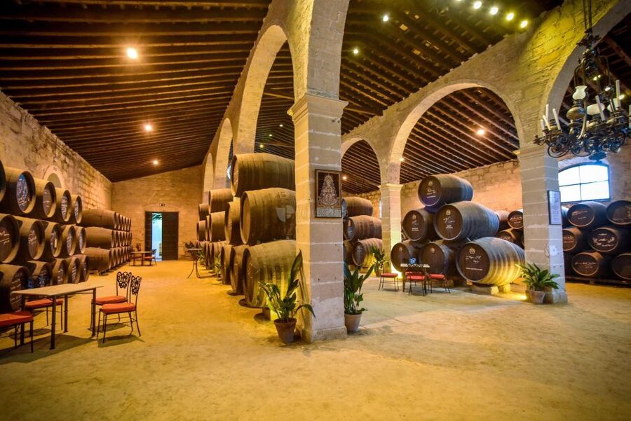 Jerez: Guided Winery Tour with Wine Tasting - The tasting with appetizers: two wines, food pairing tips, and how to get what you want