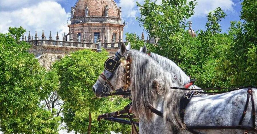 Jerez: Historic Center Guided Tour - Key highlights to look for on this Jerez walk