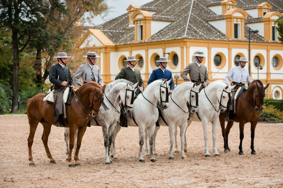 Jerez: Royal Andalusian School of Equestrian Art Admission - Before You Go: Day Choices in Jerez and the Morning Video Window