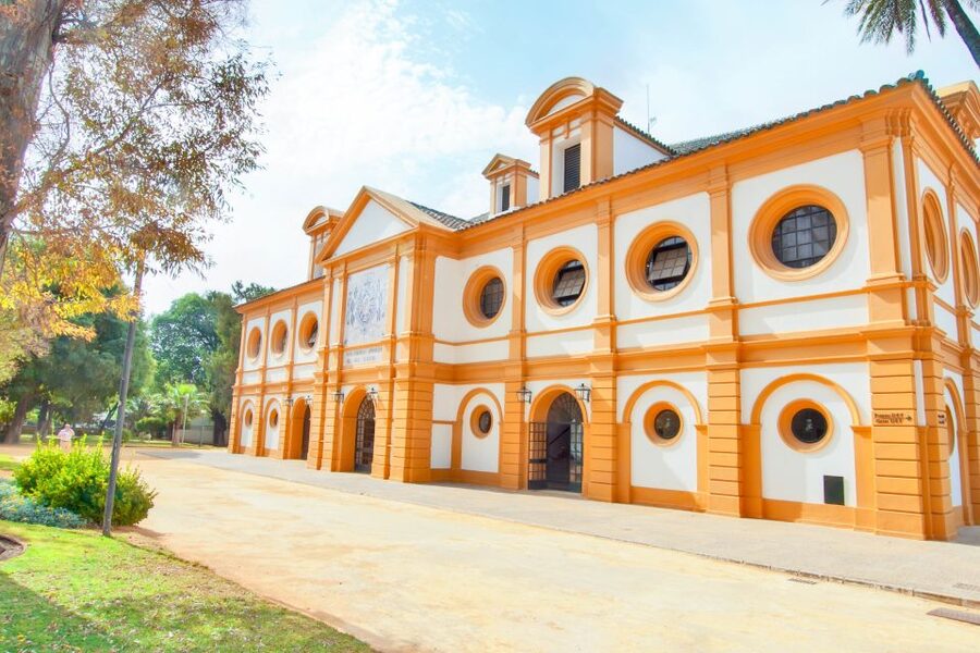 Jerez: Royal Andalusian School of Equestrian Art Admission - Museum of Equestrian Art: 11 Basement Rooms You Can Actually Use