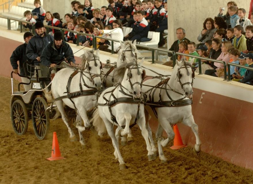 Jerez: Yeguada de la Cartuja Carthusian Horses Tour - Who should book this experience, and who should skip it