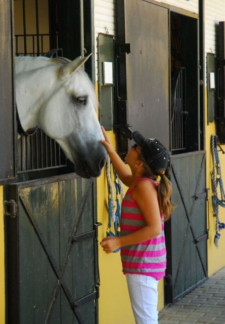 Jerez: Yeguada de la Cartuja Carthusian Horses Tour - What to bring, what to avoid, and practical on-site rules