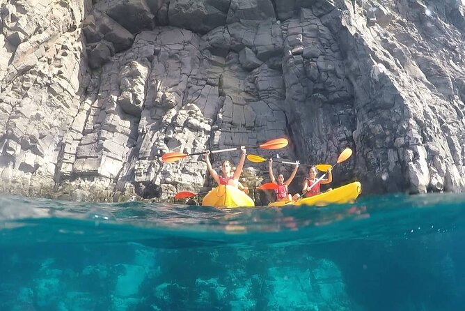 Kayak Safari with Dolphin and Turtle Watching in Guaza - Your Guide Runs the Show in a Small Group (and Keeps You Safe)