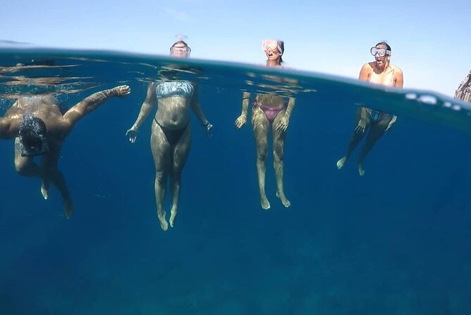 Kayak Safari with Dolphin and Turtle Watching in Guaza - Do You Need to Be a Strong Kayaker? Fitness and Sea Conditions