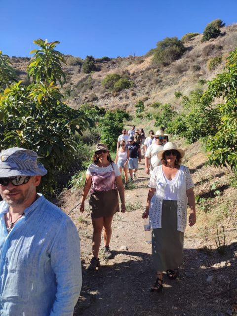 La Herradura Coffee Farm: tour in Europe's only plantation - Europe’s only coffee farm, close to Nerja and the sea