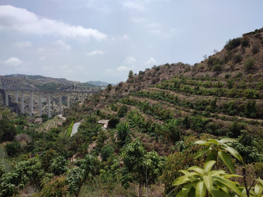 La Herradura Coffee Farm: tour in Europe's only plantation - 5 key things that make this tour worth your shoes