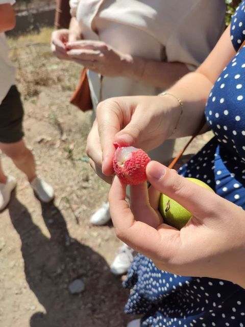 La Herradura Coffee Farm: tour in Europe's only plantation - Organic farming, permaculture, and why water matters here